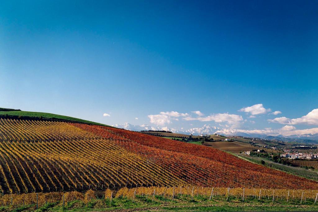 Farm stay Agrimare Barba Pineto