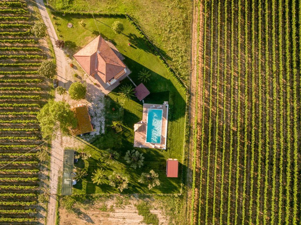 Bauernhof Agrimare Barba Pineto