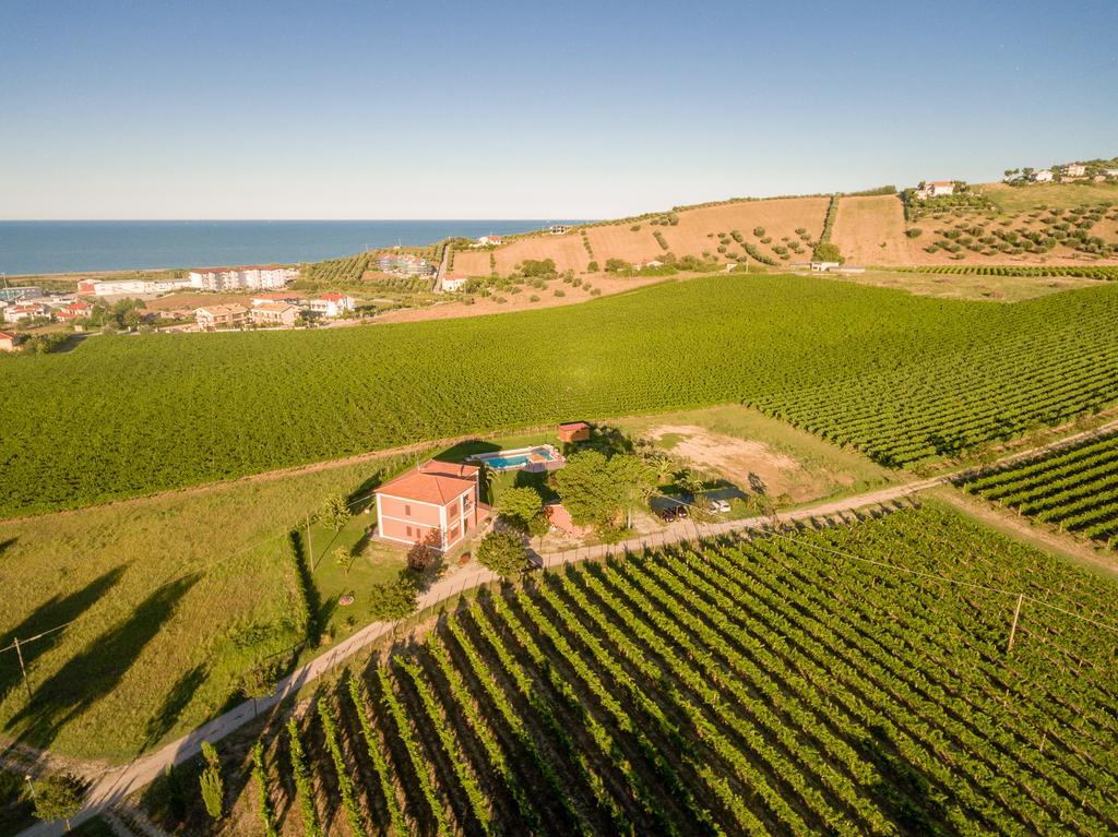 Farm stay Agrimare Barba Pineto